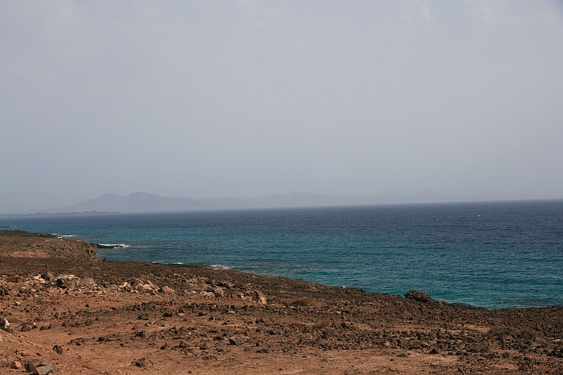 Kanary_2010 060